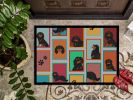 NEW Lots of Black and Tan Cavalier King Charles Spaniel Doormat Front Door Mat Indoor Outdoor Rugs for Entryway, Non Slip Washable Low Pile, 18H X 27W
